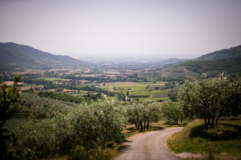 Appartement Borgo Al Teto La Vite à Castiglion Fiorentino Extérieur photo