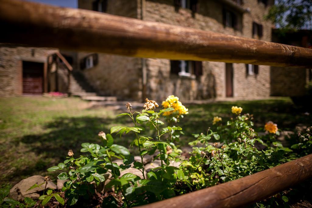 Appartement Borgo Al Teto La Vite à Castiglion Fiorentino Extérieur photo