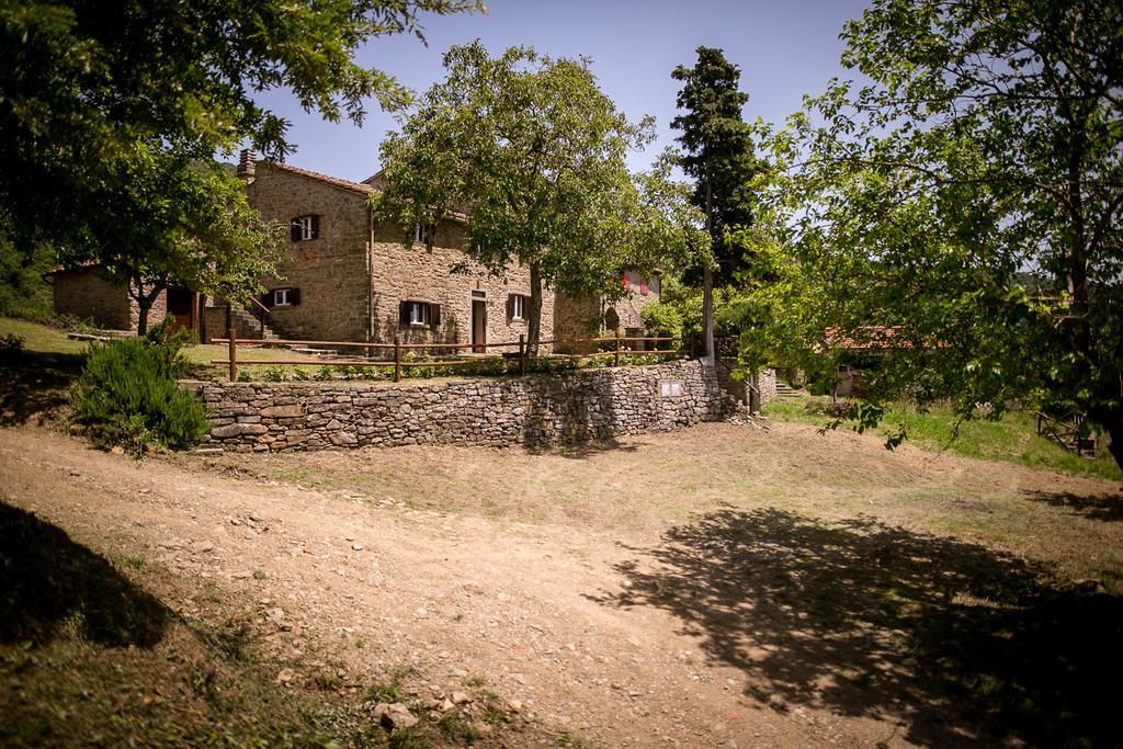 Appartement Borgo Al Teto La Vite à Castiglion Fiorentino Extérieur photo