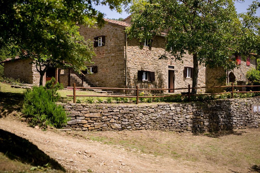 Appartement Borgo Al Teto La Vite à Castiglion Fiorentino Extérieur photo