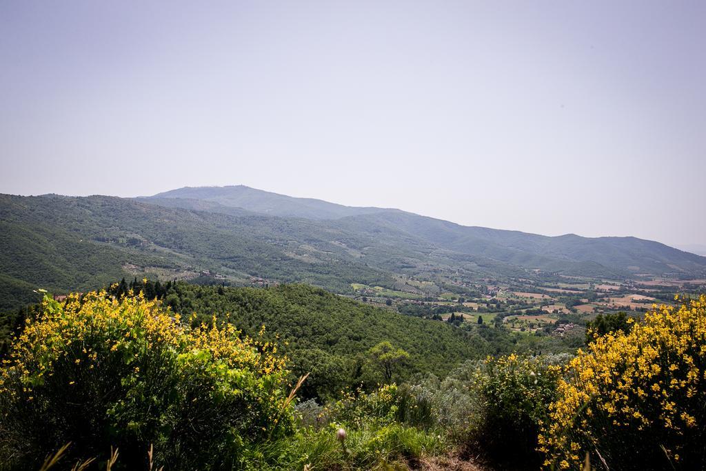 Appartement Borgo Al Teto La Vite à Castiglion Fiorentino Extérieur photo