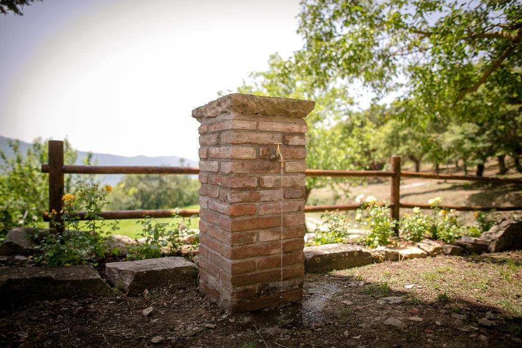 Appartement Borgo Al Teto La Vite à Castiglion Fiorentino Extérieur photo